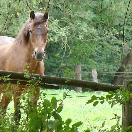 Hotel Restaurant Huxmühle *