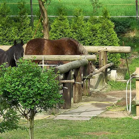 Restaurant Huxmühle Hotel Osnabrück